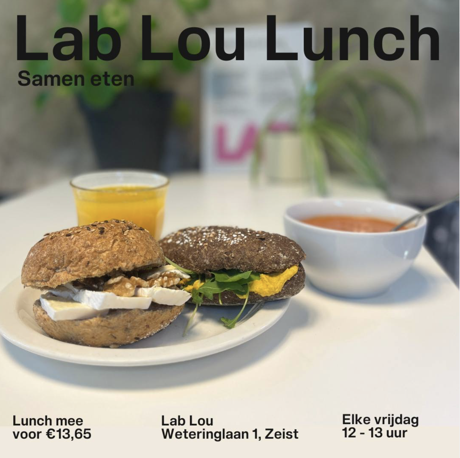 Zomerprogramma Lab LOU - Zeist